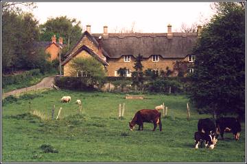The Thatches