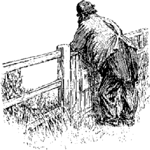Looking over fence